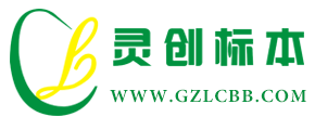 广州灵创标本文教用品有限公司