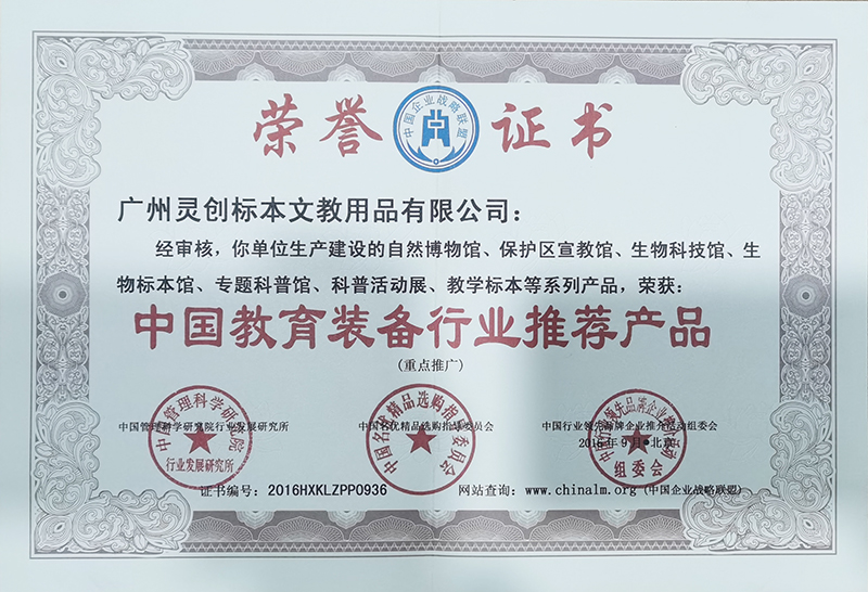 中国教育装备行业推荐