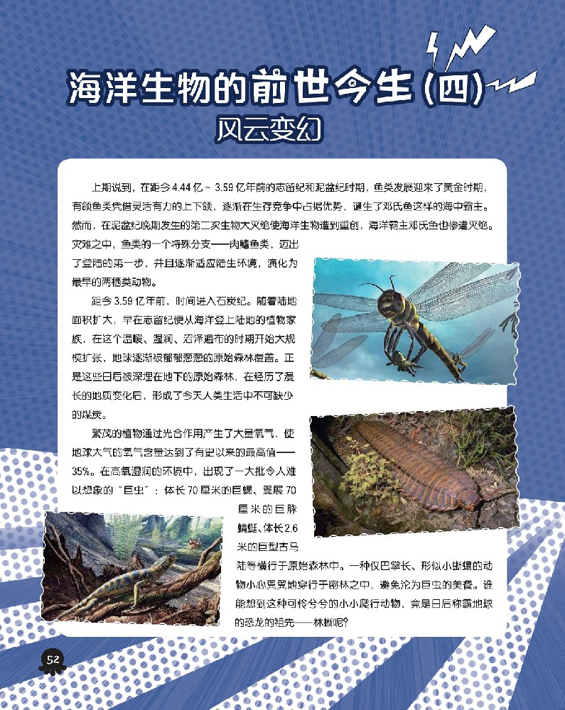 海洋生物的前世今生（四）