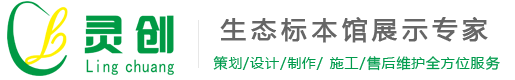 广州灵创标本文教用品有限公司